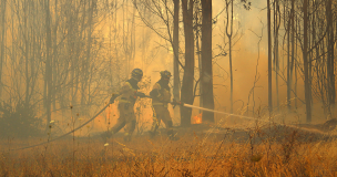 Onemi declara Alerta Roja para Chillán y Yumbel por incendio forestal