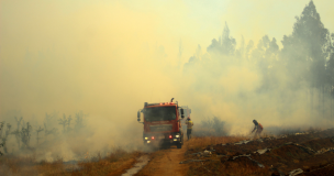 Gobierno decretó Zona de Emergencia Agrícola en Quillón por incendio forestal