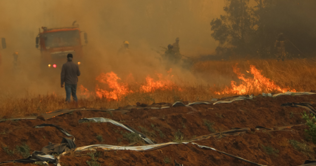 Alerta Roja para la comuna de Melipeuco por incendio forestal