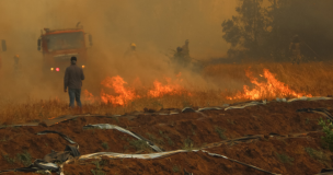 Onemi informa que hay 18 incendios forestales activos a nivel nacional