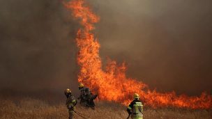 Onemi reporta 29 incendios forestales activos a nivel nacional