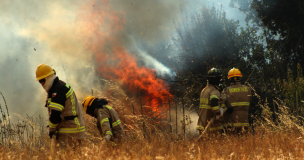 Senapred reportó 87 incendios activos, 148 controlados y 145.483 hectáreas consumidas en Ñuble, Bíobio y La Araucanía