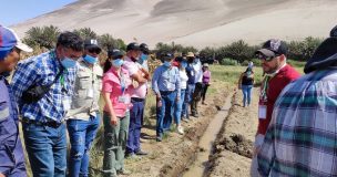 Agricultores de la Región Metropolitana conocen experiencias de riego en Pampa Concordia