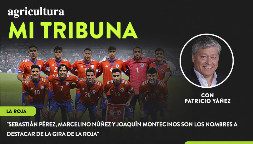 [Video] Columna de Patricio Yáñez: “Sebastián Pérez, Marcelino Núñez y Joaquín Montecinos son los nombres a destacar de la gira de la Roja”