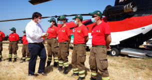 Temporada 2021-2022 registra 173 incendios forestales y 300 hectáreas dañadas a la fecha en la región del Maule