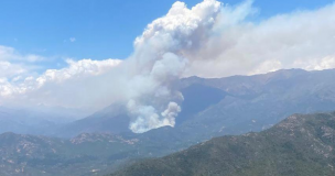 Declaran Alerta Roja para San Fernando por incendio forestal: Bomberos y Conaf están trabajando en el sector