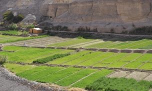 Agricultura regional podrá aportar 10 mil puestos de trabajo gracias a Agua de Mar