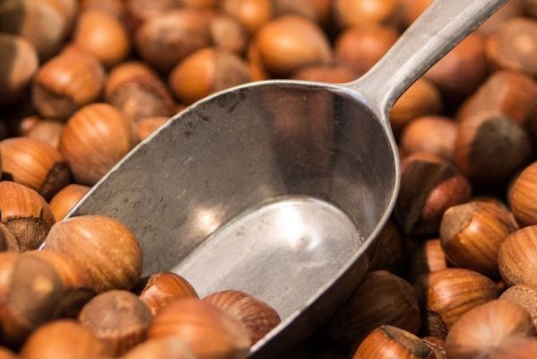 Crean la primera bebida chilena de avellanas orgánicas