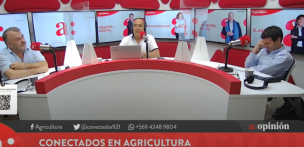 Checho Hirane por participación de Kast en 