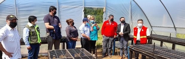 Inauguran vivero para la producción de 25 mil plantas nativas en Máfil