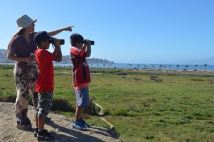 Cuento infantil crea conciencia sobre el rol de humedales de Región de Coquimbo