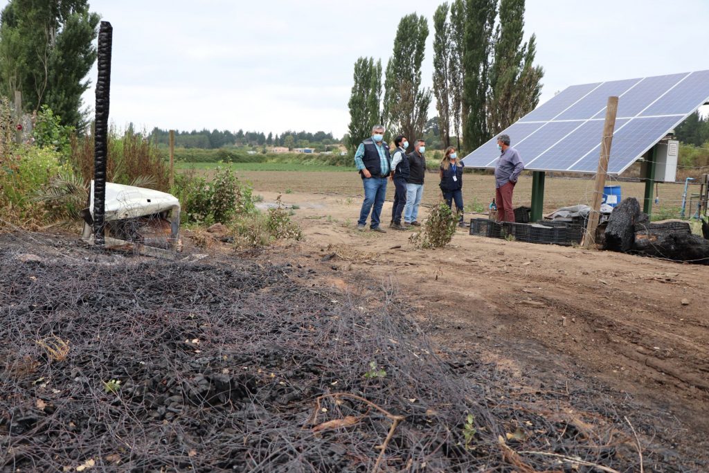 Ñuble: Prioridad de Indap será restablecer sistemas productivos de usuarios afectados por incendio