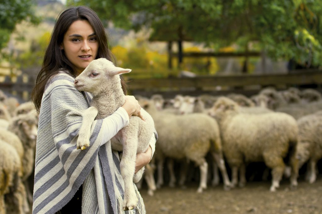 Artesanas de lana merino buscan posicionarse en el mercado de productos exclusivos