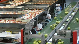 Exportaciones de fruta suben 3,7% en período enero - noviembre de 2021