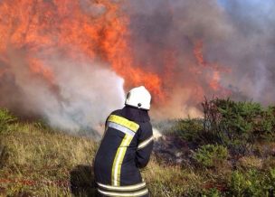 Múltiples incendios afectan a la zona sur del país: Se mantienen 5 Alertas Rojas