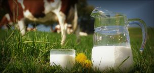 TDLC aprueba acuerdos entre las empresas y productores de leche