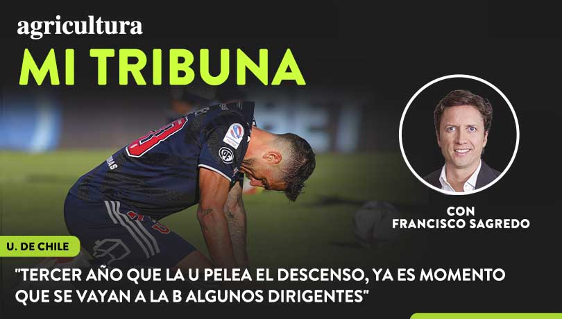 [Video] Columna de Francisco Sagredo: “Tercer año que la U pelea el descenso, ya es momento que se vayan a la B algunos dirigentes”