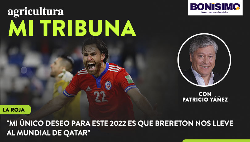 [Video] Columna de Patricio Yáñez: “Mi único deseo para este 2022 es que Brereton nos lleve al Mundial de Qatar”
