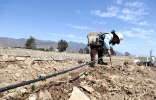 Inician programa de riego tecnificado para aumentar productividad de agricultores