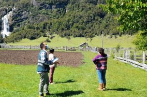 SAG monitorea sanidad de especies frutales y cultivos en predios cordilleranos