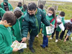 SAG Magallanes lanzó una guía para la conservación de semillas nativas