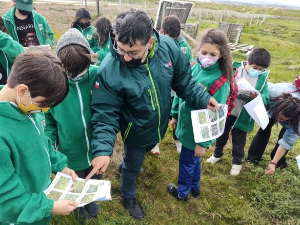 SAG Magallanes lanzó una guía para la conservación de semillas nativas