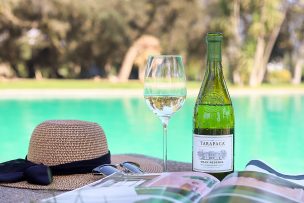 Sauvignon Blanc: un vino refrescante y jugoso para el verano