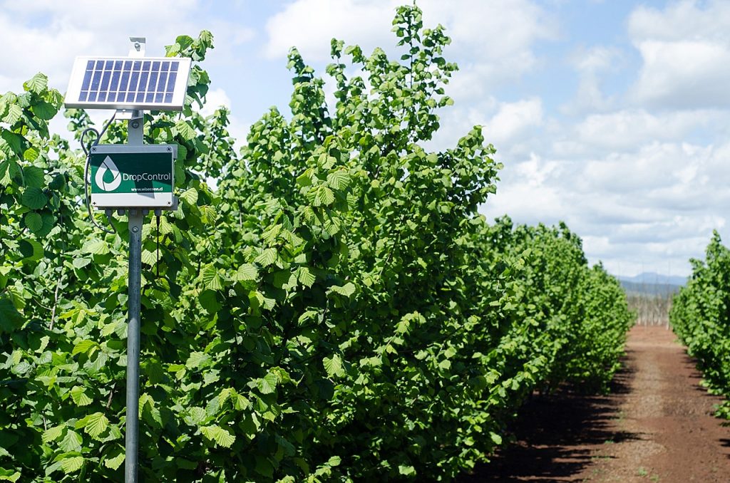 App chilena figura dentro de las cuatro mejores aplicaciones agrícolas para 2022