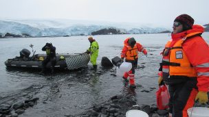 Estudio monitorea el fitoplancton antártico durante la primavera y el inicio del verano austral