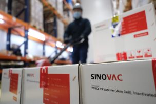 Quilicura recibirá la planta de vacunas de Sinovac en Chile