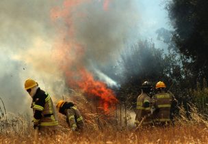 Declaran Alerta Roja para comuna de Las Cabras por incendio forestal