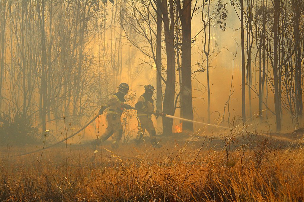 Se cancela Alerta Roja que estaba vigente en Quillón por incendio forestal
