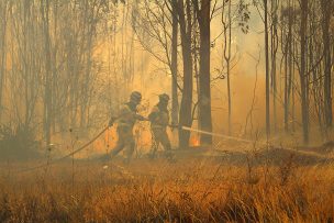 Se cancela Alerta Roja que estaba vigente en Quillón por incendio forestal