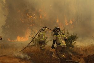 Alerta Roja para comunas de Quillón y El Carmen por incendio forestal 