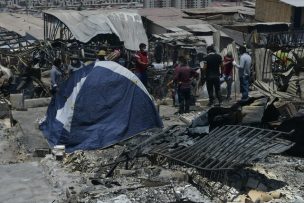 Iquique: Colmevet apoya a animales afectados por incendio en Laguna Verde