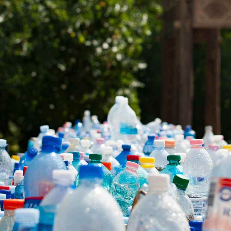 Interescolar del Reciclaje premiará a colegios con hasta $2 millones por proyectos sustentables