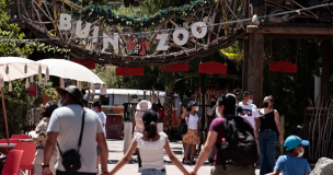 Buin Zoo presentó tres nuevas especies y la vuelta de sus visitas nocturnas tras dos años suspendido