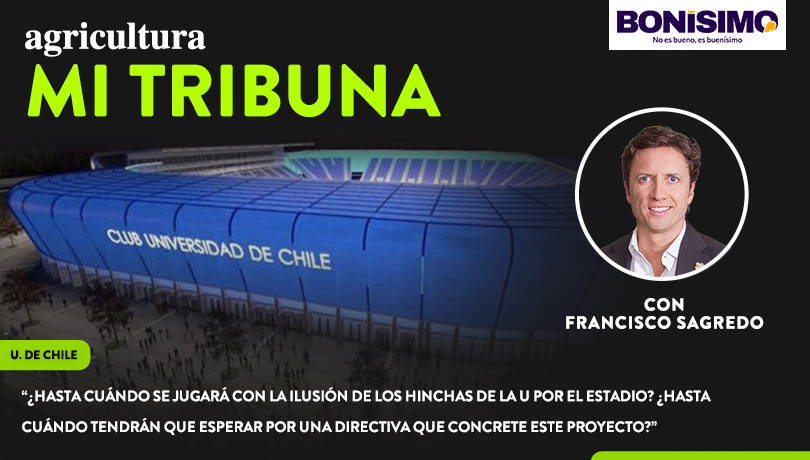 [Video] Columna de Francisco Sagredo: “¿Hasta cuándo se jugará con la ilusión de los hinchas de la U por el estadio?”