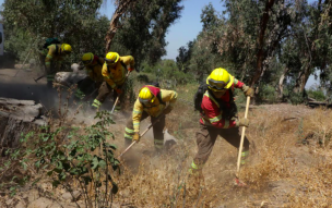 Peñalolén lanza Plan Verano contra incendios forestales 2022 en Parque Natural Quebrada de Macul