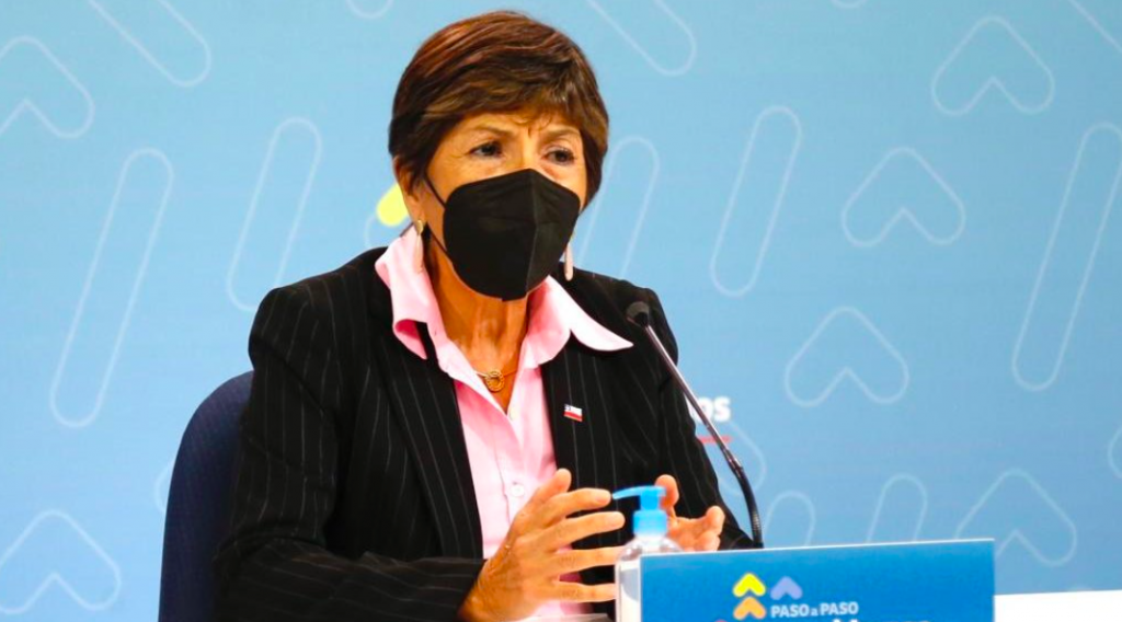 Subsecretaria Valenzuela aborda aumento de casos: “Podríamos decir que cerca del 15 de febrero estaríamos llegando a nuestro peak”