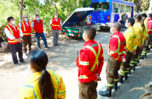 Autoridades realizan balance sobre incendios forestales registrados en el Maule durante esta temporada: 