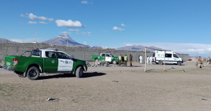 Migrante fue hallado sin vida en el poblado de Pisiga Carpa en Colchane