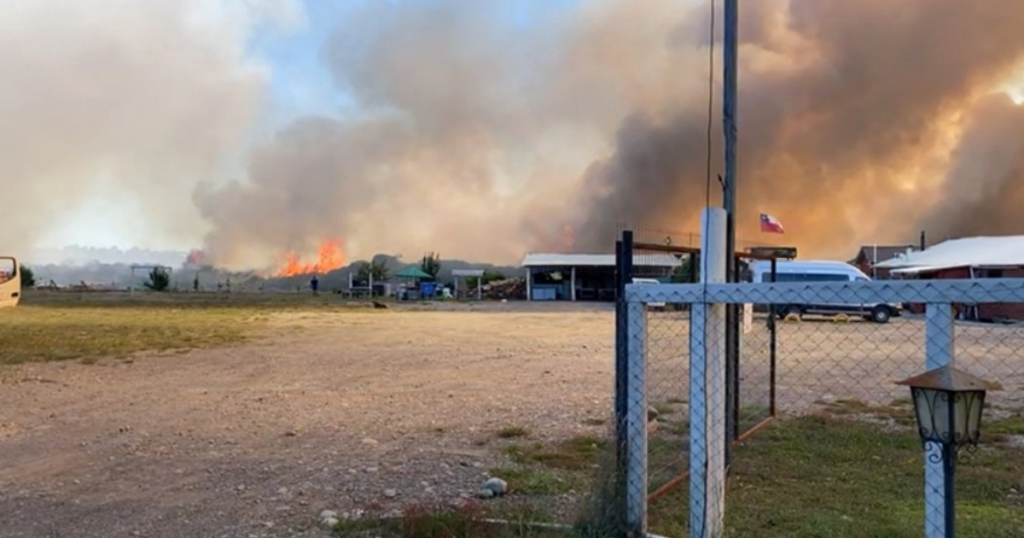 Dalcahue en Alerta Roja por incendio forestal denominado “Los Avellanos”