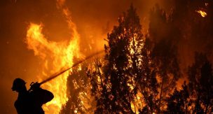 Sistema creado en Chile busca prevenir y reducir el impacto de futuros incendios forestales