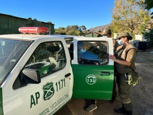 Hombre de 43 años fue detenido por su presunta responsabilidad en incendio forestal que afecta a Laguna Verde 