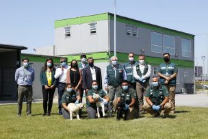 Angus, Overo y Berk: Tres nuevos canes se integran a la Brigada Canina SAG donados por Faenacar