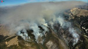 Hectáreas incendiadas ya superan en 5 veces a igual lapso de temporada anterior