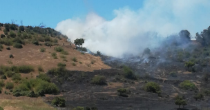 Región de O'Higgins: Se declara Alerta Roja para la comuna de Litueche por incendio forestal