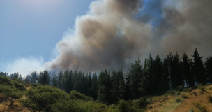 Declaran Alerta Roja para la comuna de Marchigüe por incendio forestal cercano a viviendas