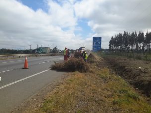 330 Km de cortafuegos esperan construir esta temporada en Araucanía